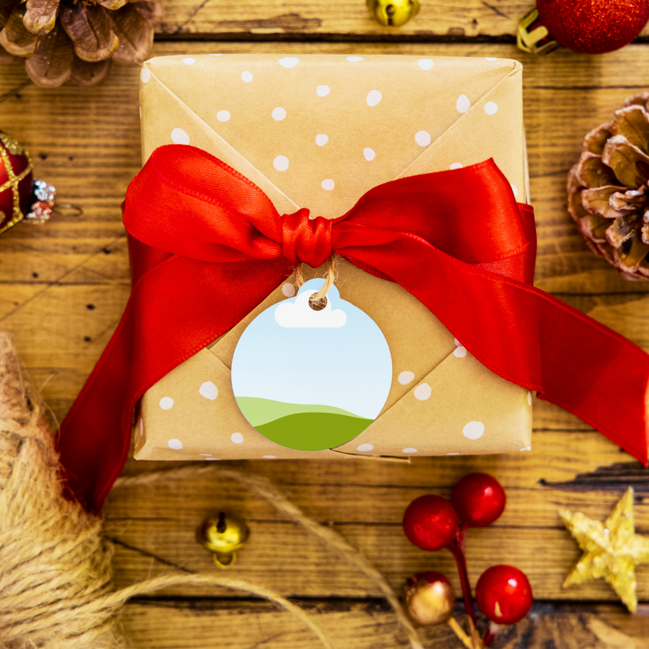Christmas, Holiday Ornament Canva Mockup