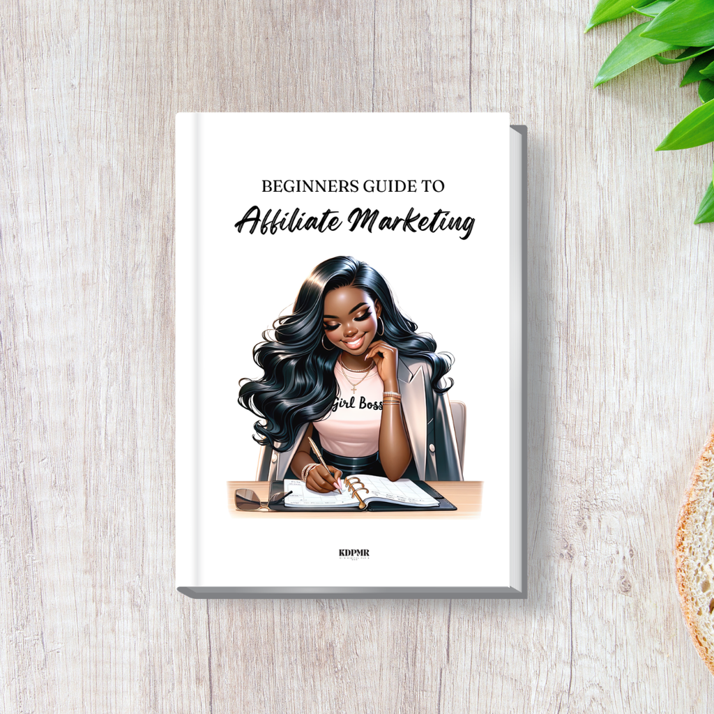PLR Beginner Affiliate Marketing Guide